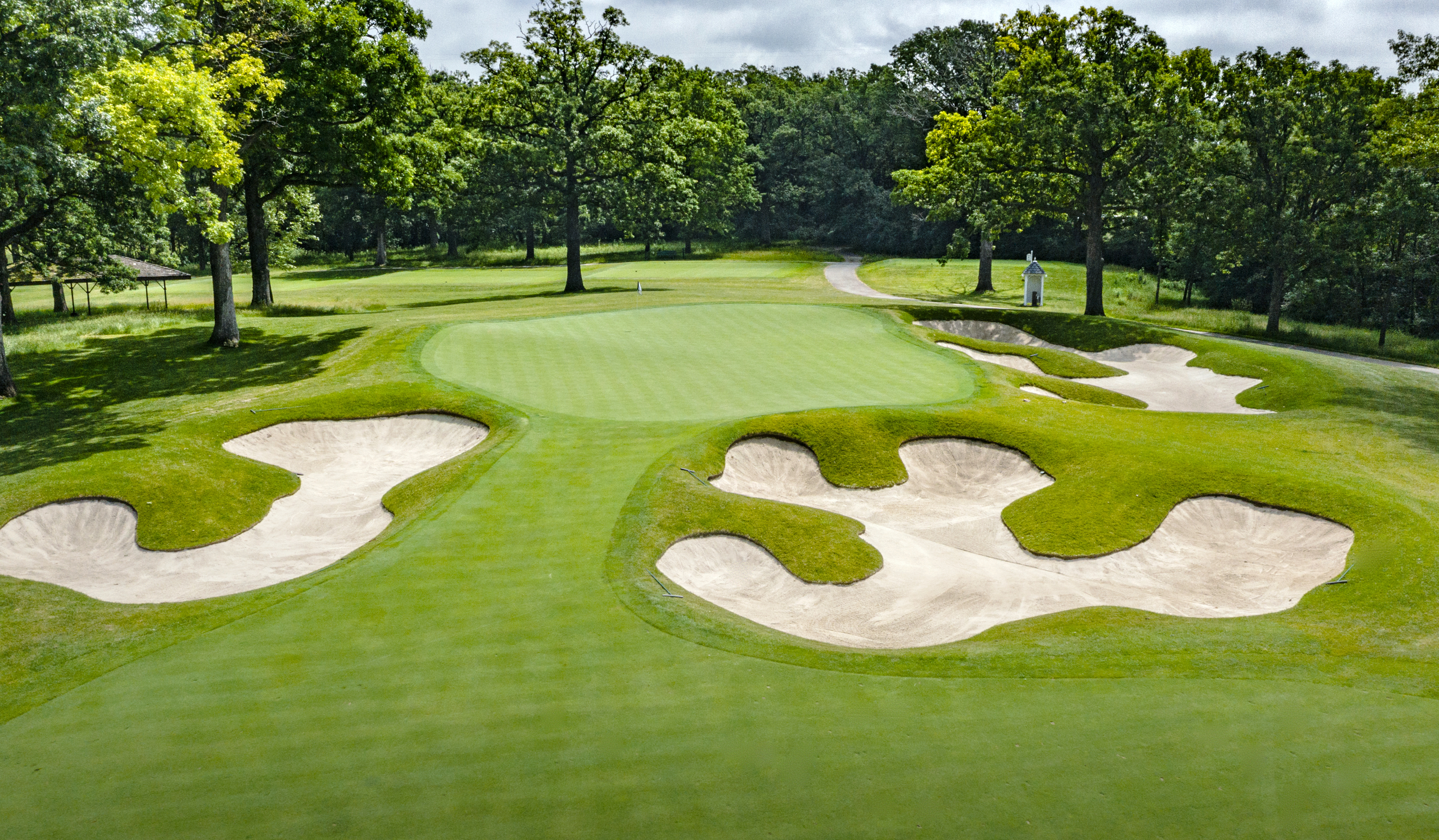 Pictures of Cog Hill GC June 18, 2019
©Photography by Charles Cherney